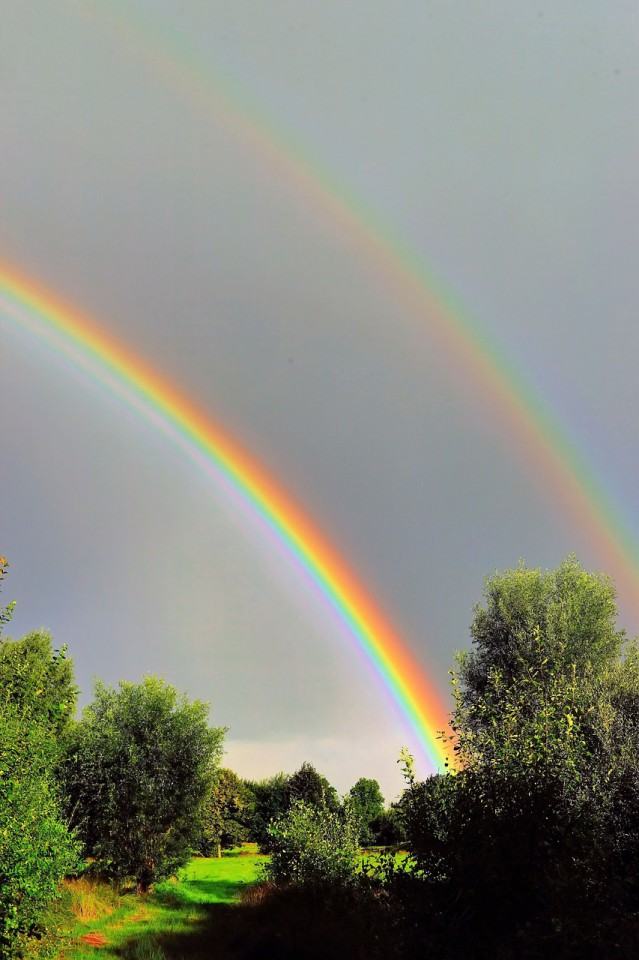 Regenbogen